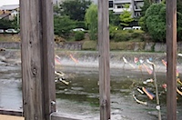 先斗町 川床の写真