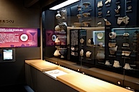 登呂博物館の写真