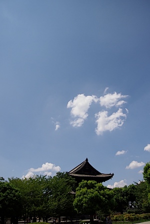 東寺の写真